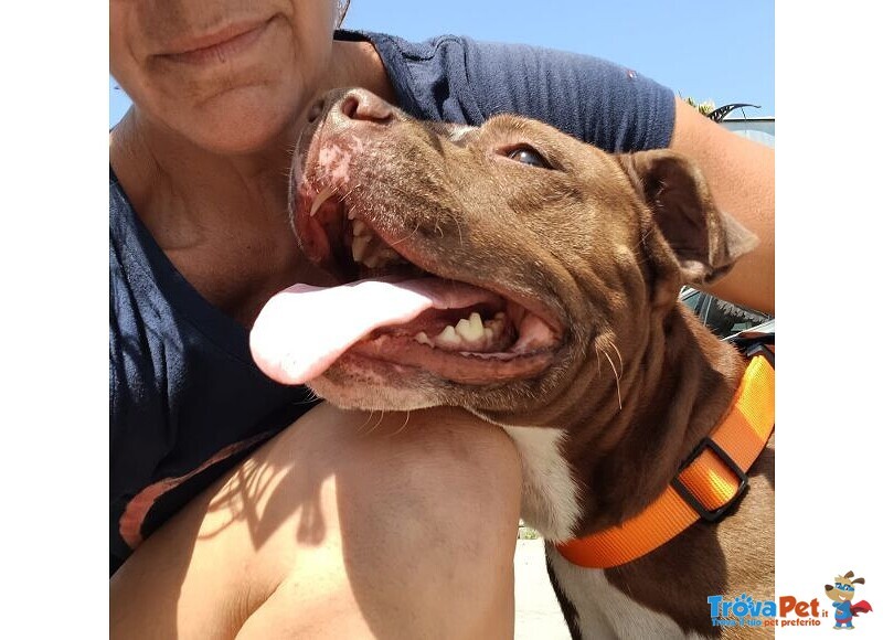 Dalila Giovane, Socievole e Buona con Tutti! - Foto n. 2