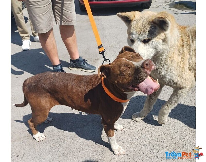 Dalila Giovane, Socievole e Buona con Tutti! - Foto n. 4