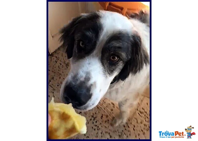 Ggg 4anni Dolcissimo Coccolone - Foto n. 5