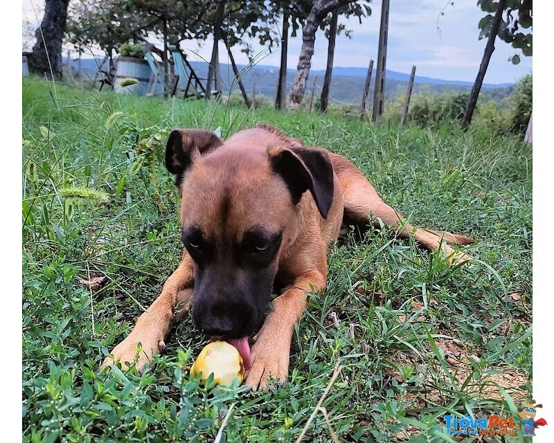 Blu solo come Figlio Unico! Buono con le Persone - Foto n. 4