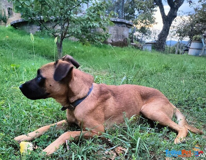 Blu solo come Figlio Unico! Buono con le Persone - Foto n. 5