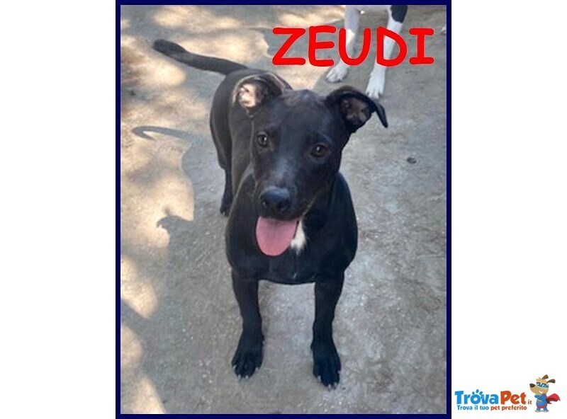 Adorabile Zeudi sui 3 anni - tg Contenuta - Foto n. 1