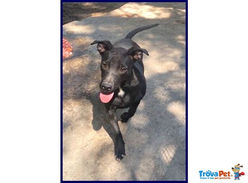 Adorabile Zeudi sui 3 anni - tg Contenuta - Foto n. 3