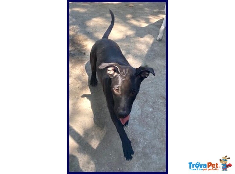 Adorabile Zeudi sui 3 anni - tg Contenuta - Foto n. 4