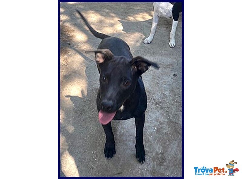 Adorabile Zeudi sui 3 anni - tg Contenuta - Foto n. 5