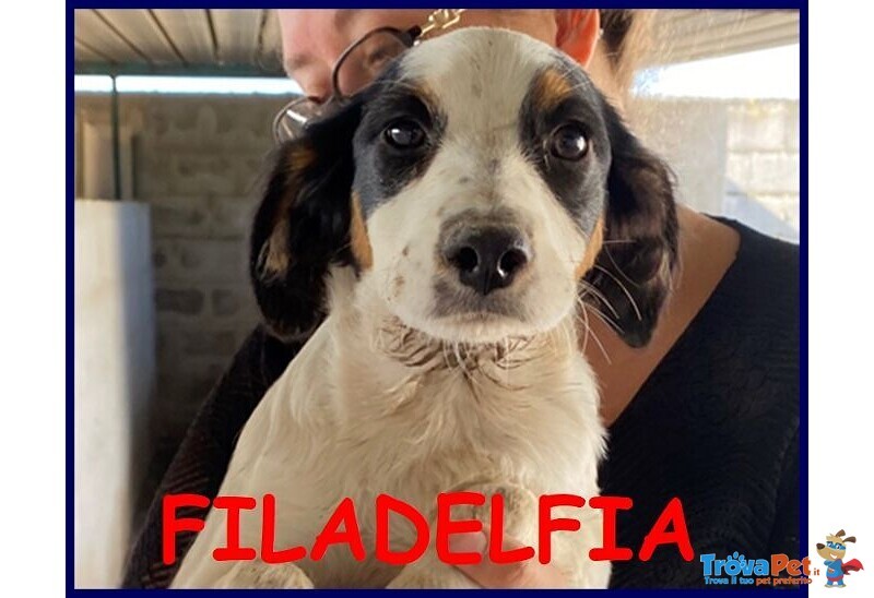 Filadelfia Giovane Abbandonata col Fratellino tg Mediopicc. - Foto n. 4