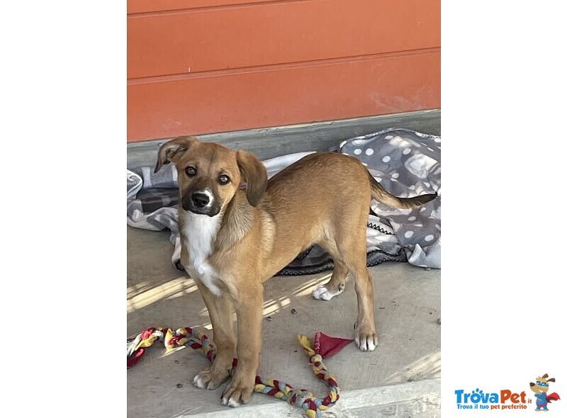 Agata e Nestor - Foto n. 1