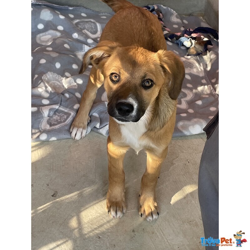 Agata e Nestor - Foto n. 2