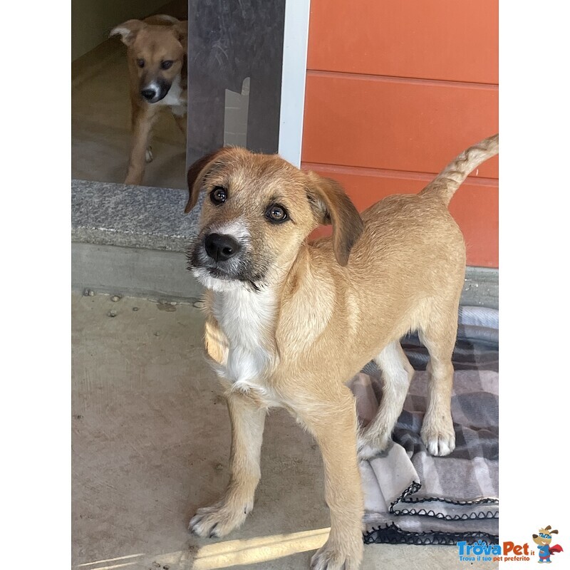 Agata e Nestor - Foto n. 3