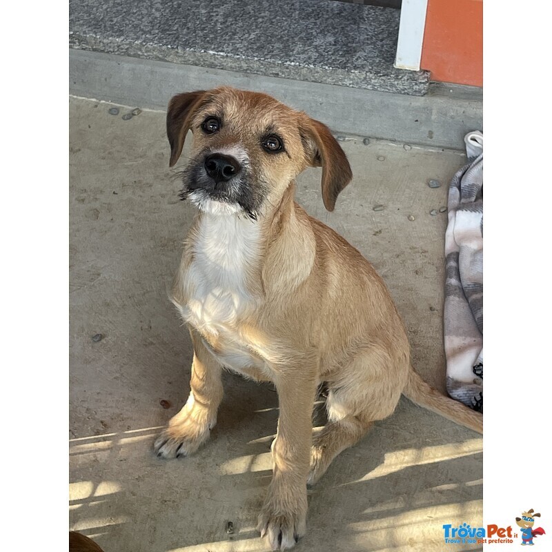 Agata e Nestor - Foto n. 4