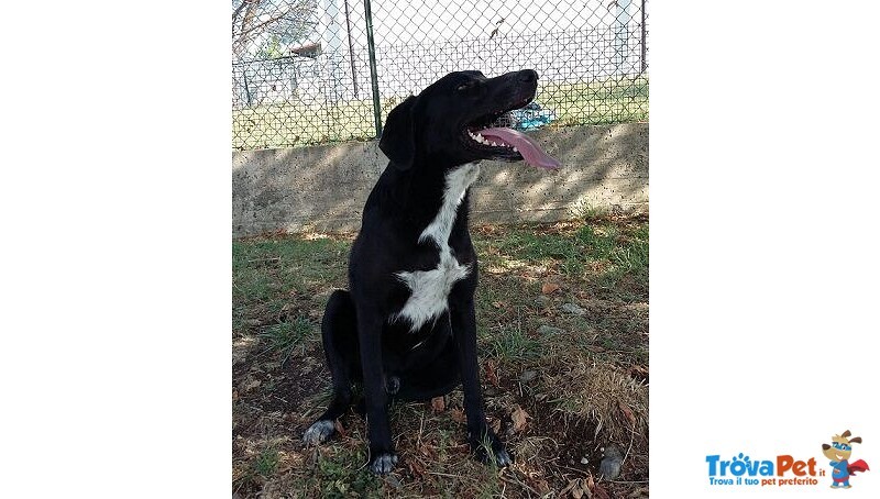 Galileo Giovane Buono e Simpatico - Foto n. 1