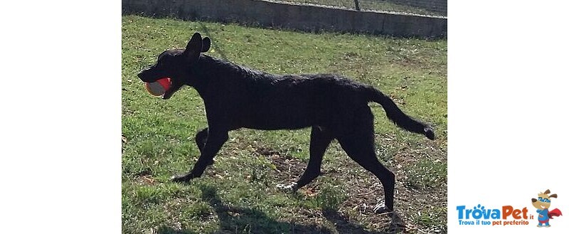 Galileo Giovane Buono e Simpatico - Foto n. 2