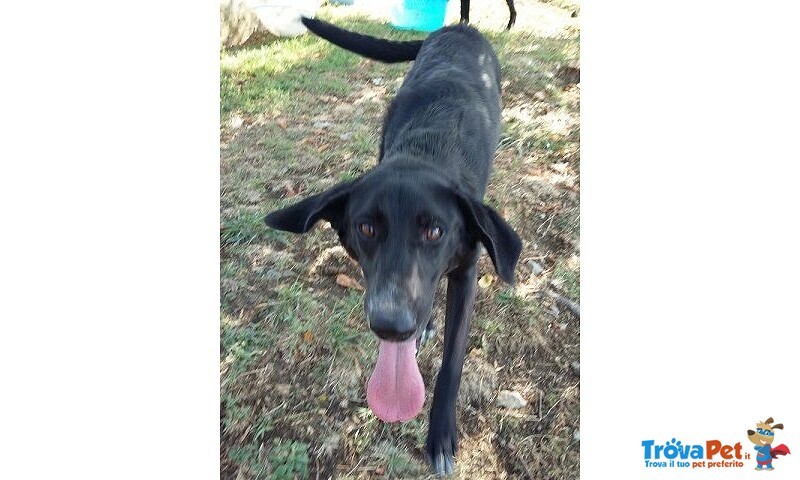 Galileo Giovane Buono e Simpatico - Foto n. 8