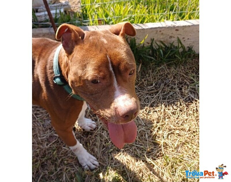 Dalila Giovane, Socievole e Buona con Tutti! - Foto n. 1