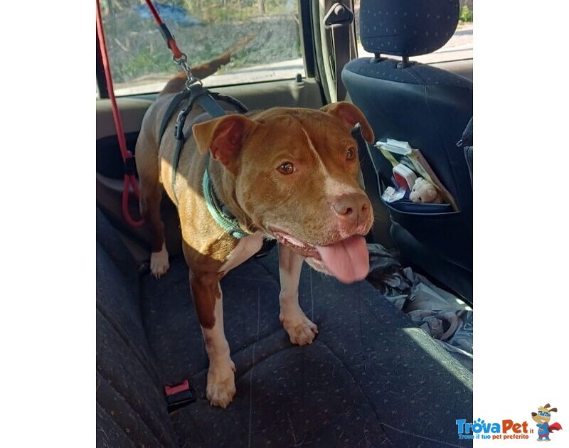 Dalila Giovane, Socievole e Buona con Tutti! - Foto n. 3