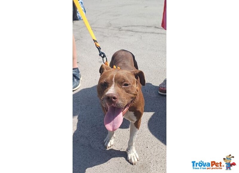 Dalila Giovane, Socievole e Buona con Tutti! - Foto n. 4