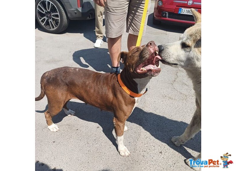 Dalila Giovane, Socievole e Buona con Tutti! - Foto n. 5