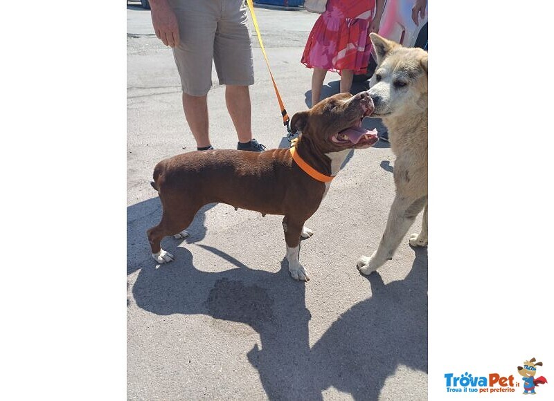 Dalila Giovane, Socievole e Buona con Tutti! - Foto n. 6