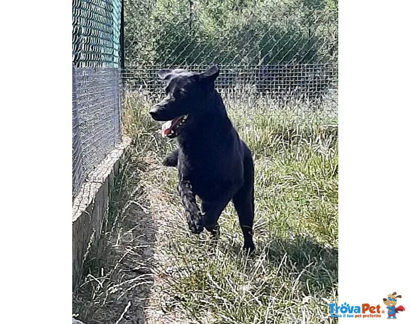 Aron 1anno Ideale per ogni Famiglia - Foto n. 1