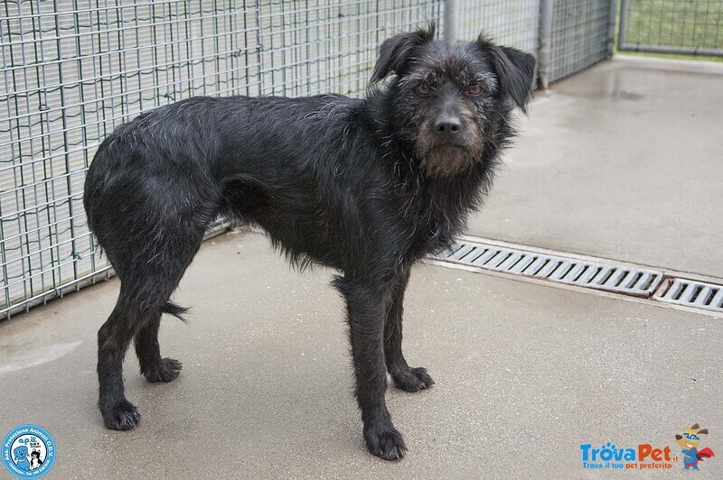 Greta, L’amore vero Arriva Piano.. - Foto n. 2