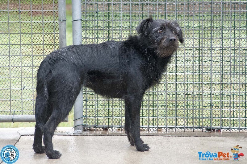 Greta, L’amore vero Arriva Piano.. - Foto n. 3