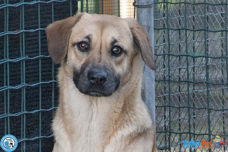 Pam, Cerca chi Sappia Vederla Davvero - Foto n. 1