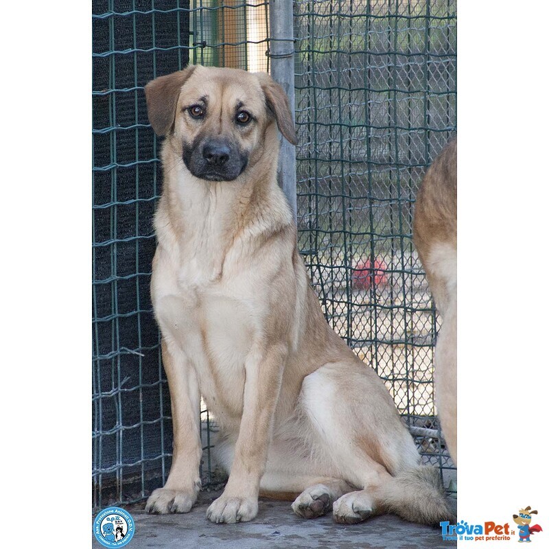 Pam, Cerca chi Sappia Vederla Davvero - Foto n. 2