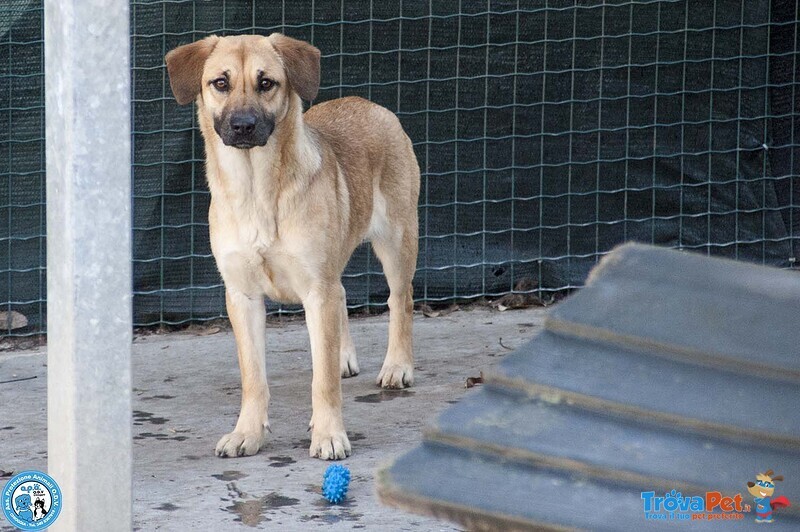 Pam, Cerca chi Sappia Vederla Davvero - Foto n. 3