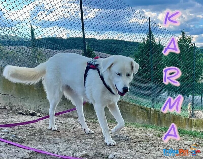 Karma Giovane in Cerca di un Lieto Fine - Foto n. 1