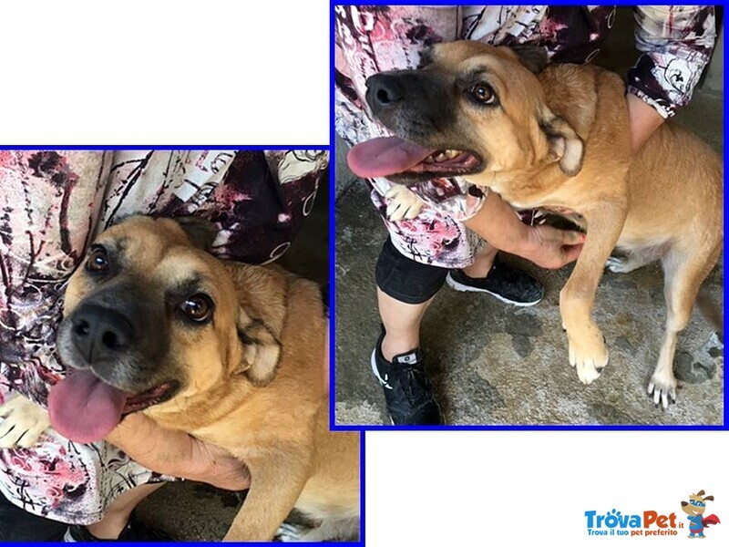 Oriana 10 anni Dolcissima Nonnina tg Mediopicc. - Foto n. 4