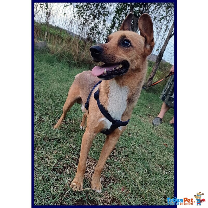 Zak Tenero Piccoletto Hanno Rinunciato a Lui - Foto n. 2