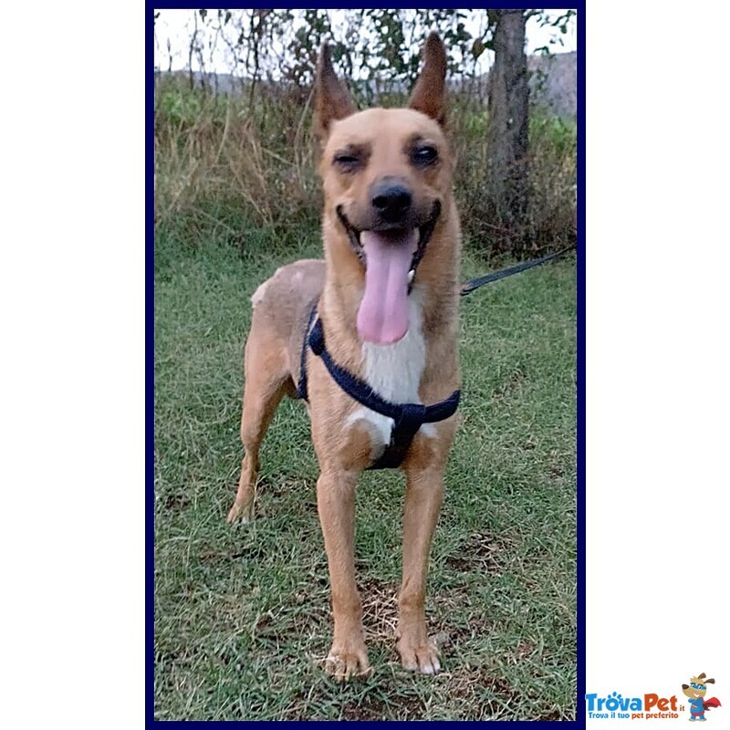 Zak Tenero Piccoletto Hanno Rinunciato a Lui - Foto n. 3