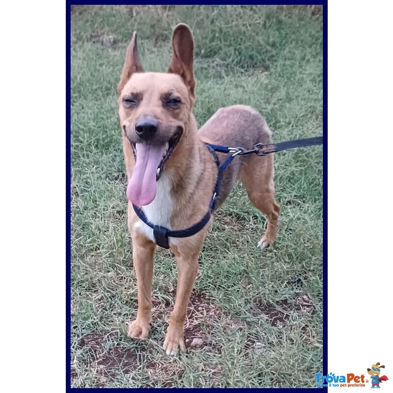 Zak Tenero Piccoletto Hanno Rinunciato a Lui - Foto n. 4