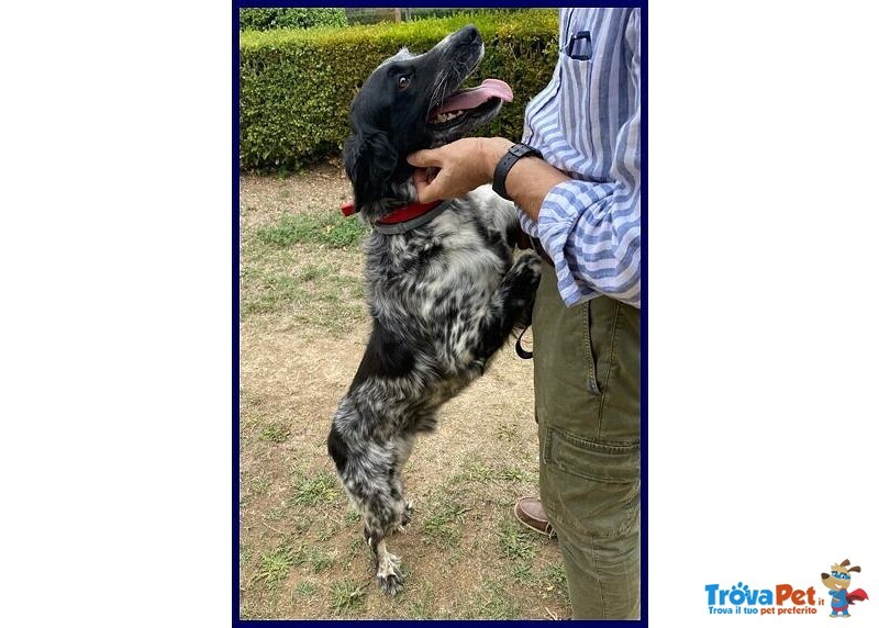 Nacho 8-9anni Gioioso e Giocherellone - Foto n. 2
