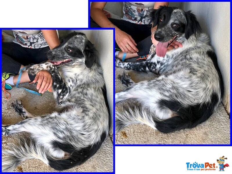 Nacho 8-9anni Gioioso e Giocherellone - Foto n. 5