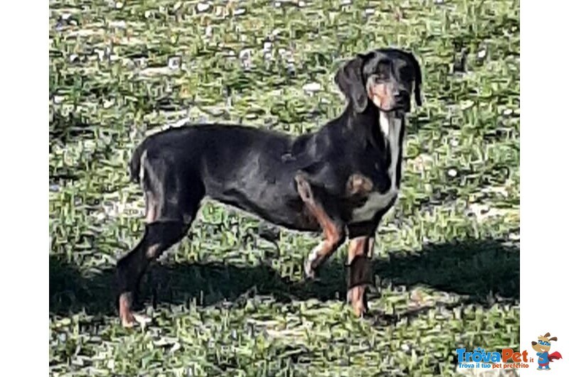 Gilda 4anni Buona con Tutti! - Foto n. 6