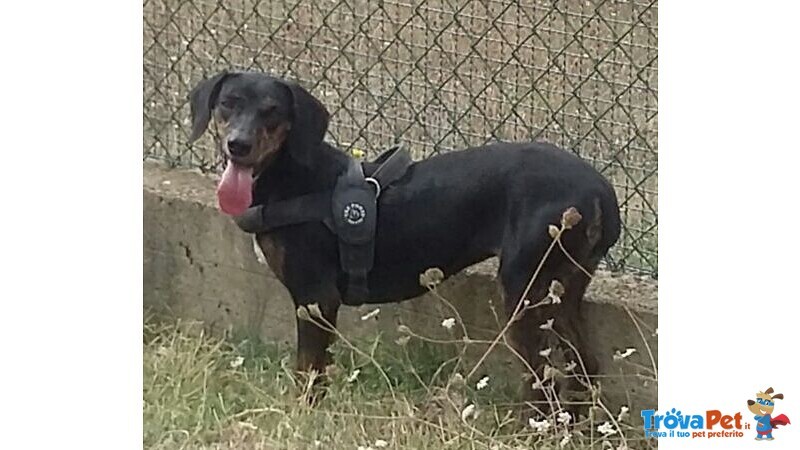 Gilda 4anni Buona con Tutti! - Foto n. 7