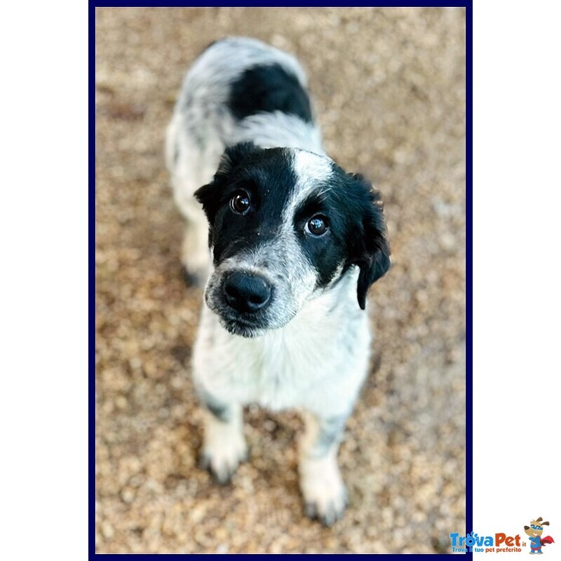 Teo Vagava Affamato per Strada - Foto n. 2