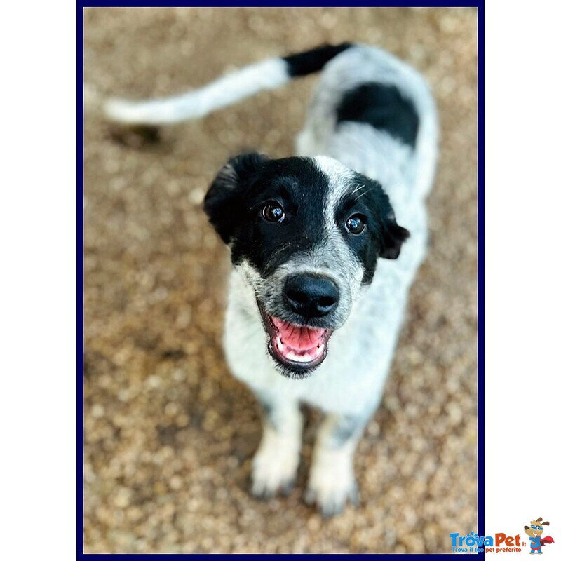 Teo Vagava Affamato per Strada - Foto n. 4