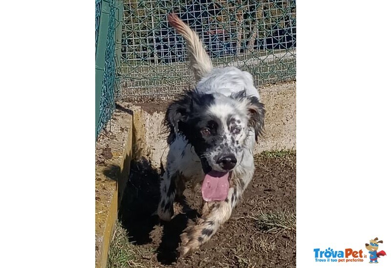 Otello 5anni Adora L'acqua e Giocare! Bravo - Foto n. 3