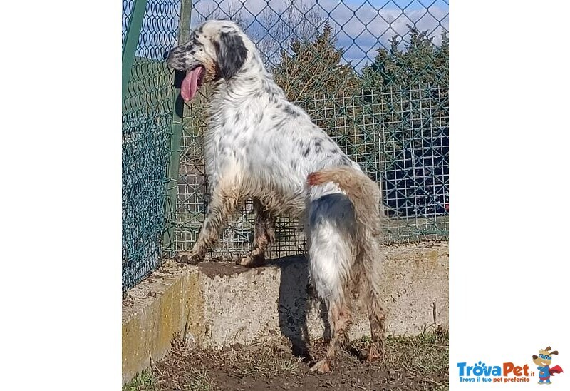 Otello 5anni Adora L'acqua e Giocare! Bravo - Foto n. 4