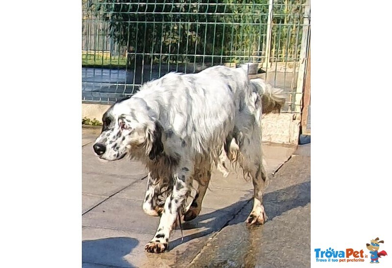 Otello 5anni Adora L'acqua e Giocare! Bravo - Foto n. 5