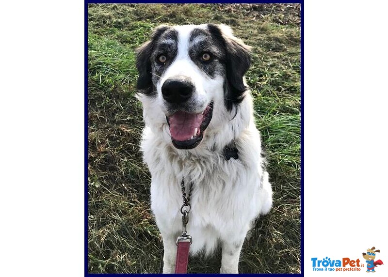 Ggg 5anni Dolcissimo Coccolone - Foto n. 6