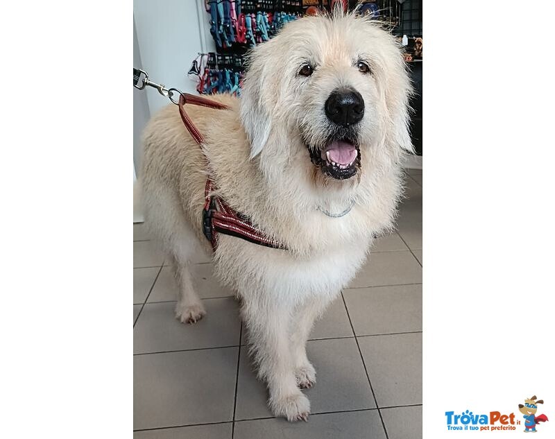 Rebecca 9anni - tg Media Rimasta Sola! - Foto n. 1