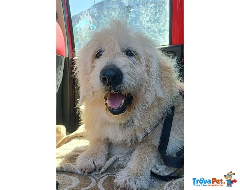 Rebecca 9anni - tg Media Rimasta Sola! - Foto n. 2