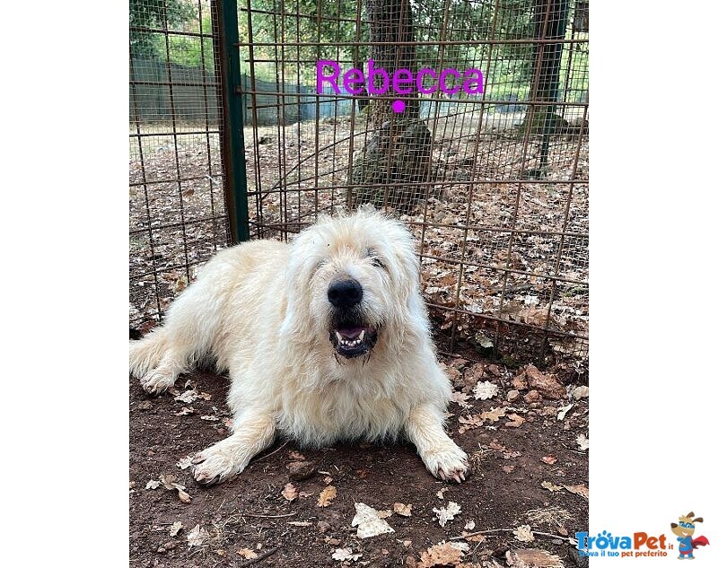 Rebecca 9anni - tg Media Rimasta Sola! - Foto n. 3