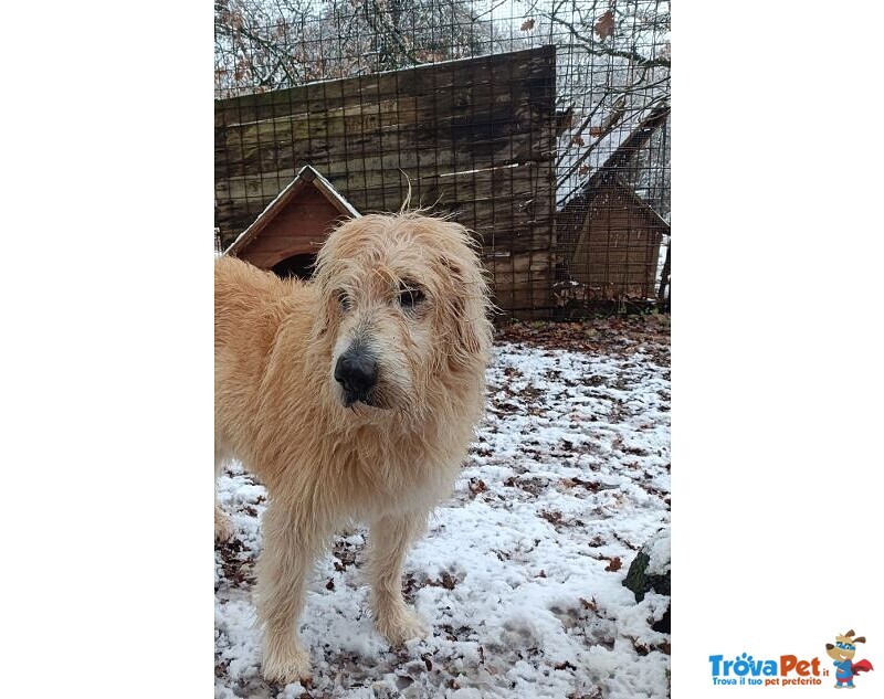 Rebecca 9anni - tg Media Rimasta Sola! - Foto n. 6