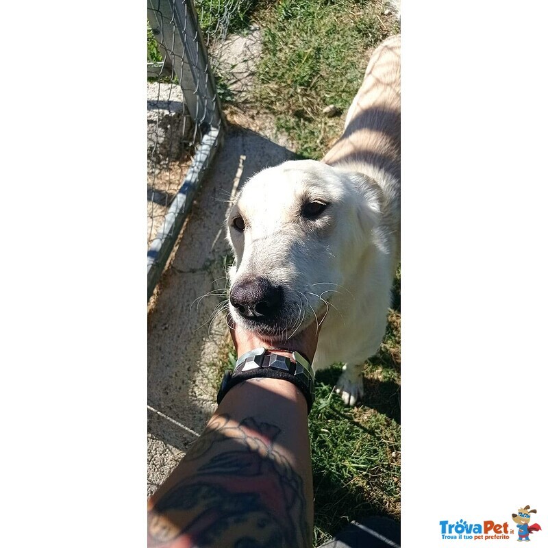 Roberto Socievole Allegro! tg Media - Foto n. 6