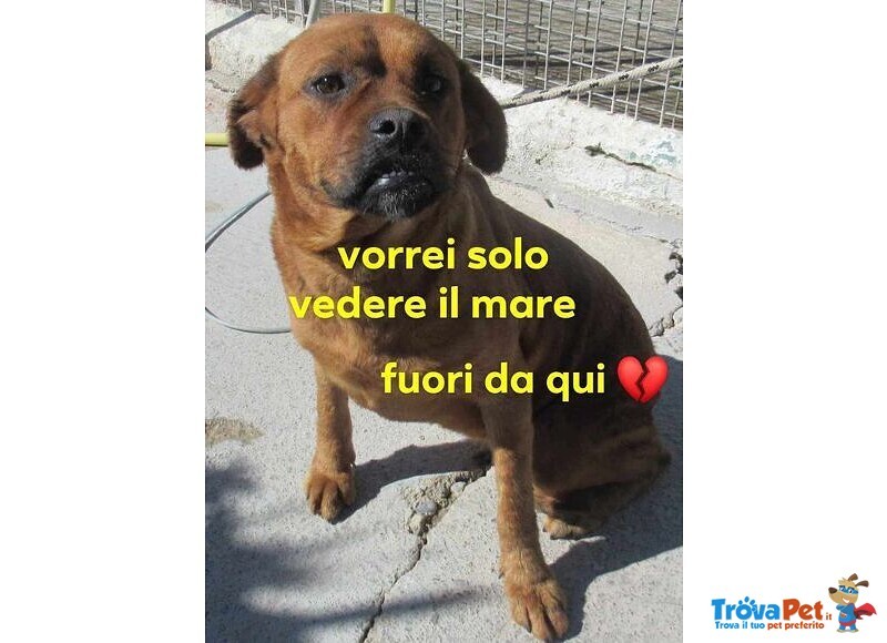 Lisa Giovane Timidina ma Buona! - Foto n. 1