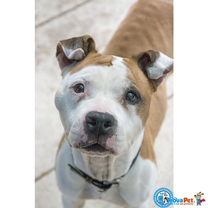 Molly, una casa per gli anni più Preziosi - Foto n. 1